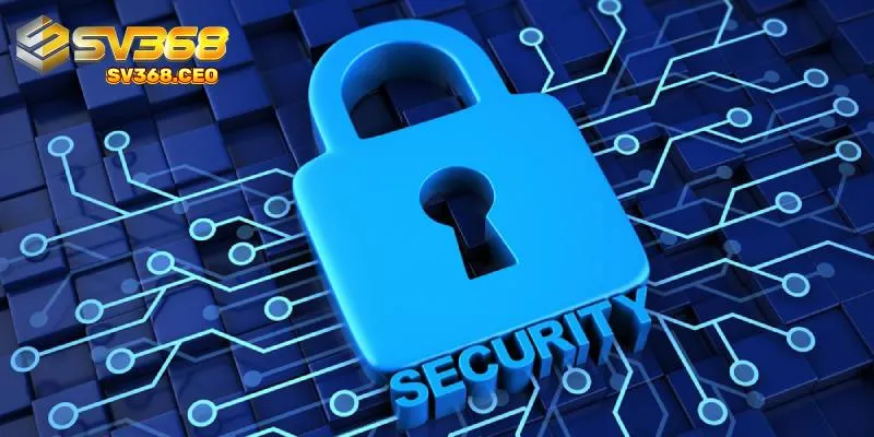 Tổng quan chính sách bảo mật của SV368
