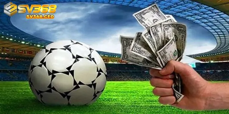 Tuyệt đối không nên cược theo cảm tính sẽ khiến bạn trắng tay